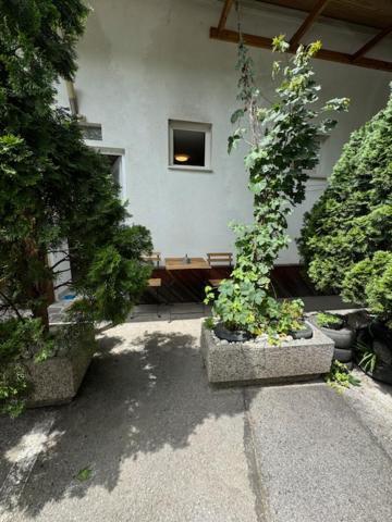 Cozy Flat Near Tivoli Park With Free Parking Lägenhet Ljubljana Exteriör bild